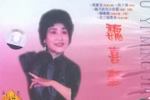 探晴雯