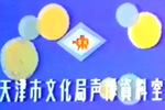 黛玉焚稿