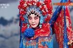 京剧女杀四门
