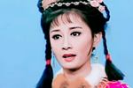 吕剧逼婚记
