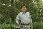 河南坠子小八义