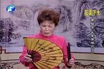 大宋金鸠记