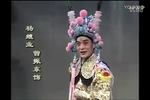 韩琪认母 全集