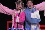 墙头记 全剧