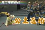 公主逼婚 全本