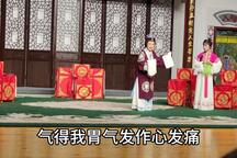 扬剧珍珠塔方卿羞姑经典选段 第9部