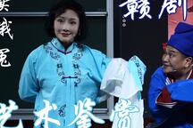 窦娥冤 第四节课
