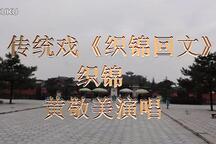 织锦回文-织锦 片段