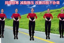 健身操广场舞全身拉伸八段锦活动筋骨 11部