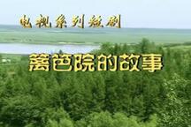 二人转二人转篱笆院的故事东北农村短剧 32部