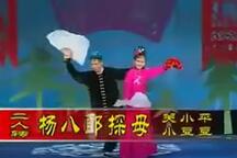 二人转杨八郎探母