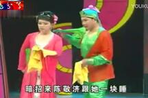 二人转二人转西门庆全传韩子平经典唱段 11部