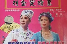 刘金定观星