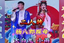 杨八郎探母 全场