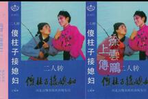 傻柱子接媳妇
