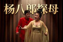 杨八郎探母 第155期