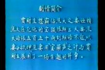 宝葫芦