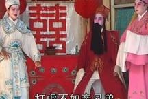 古装牛娘剧龙游浅水全场经典戏曲 4部