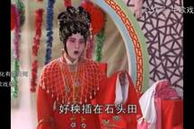 借腹生子