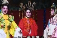 金花与银花 第5集