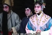 金花与银花 第3集