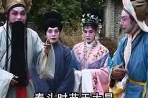 金花与银花 1