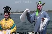 金花与银花