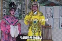 杀妻救嫂2