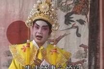 杨家将 第1集