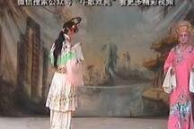 兰娘奇案 第2集