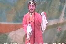 五女奇缘 1