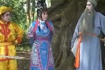 杨家将 第10集