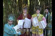 借腹生子 第8集
