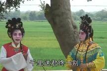 金锤太保 5