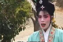 杀妻救嫂 第8集