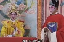 杨家将 8