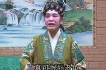 雪映百合花