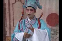 八仙传奇 1