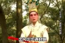 牛娘剧岳家将岳雷 第4集