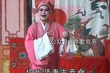 宝龙珠 第2集