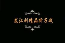 龙江剧龙江剧精品折子戏 火凤凰等经典选段 4部