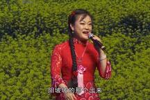 菜园小曲