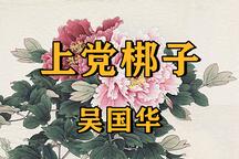 上党落子 上党梆子名家吴国华经典唱段合集 17部