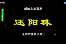 还阳珠