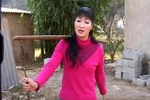 云南山歌剧云南山歌剧辣糙媳妇杨光明李美兰 3部