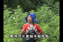 活宝夫妻 1