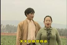 一见钟情