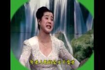 小寡妇上坟