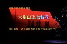 东路花鼓戏东路花鼓戏大别山上七枝花全场唱段 3部