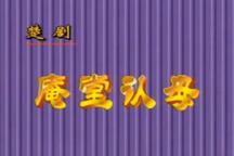 楚剧 楚剧庵堂认母 吴昭娣徐大树演唱 2部